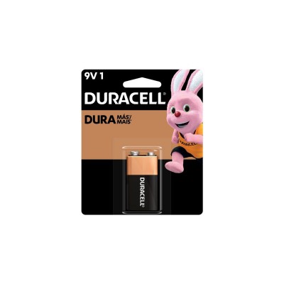 BATERIA ALCALINA CART C/01