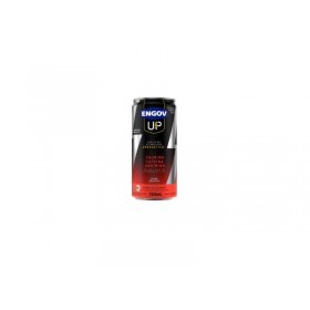 MELANCIA 269ML
